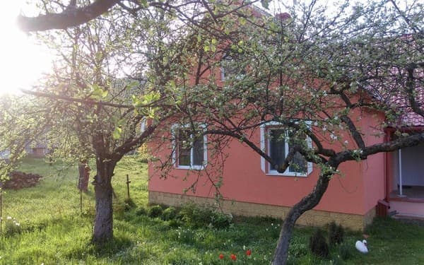 Приватна садиба Любава