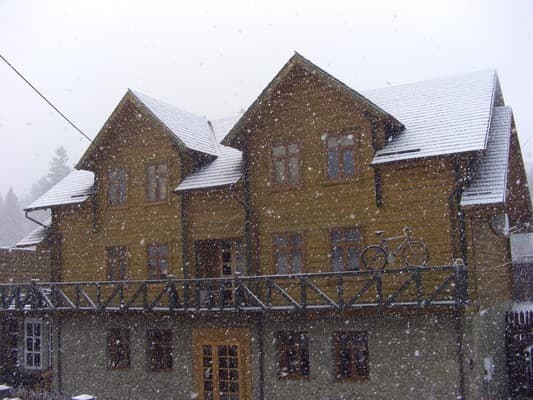 Шале Трутень