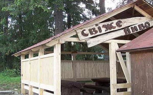 Котедж Blizzard