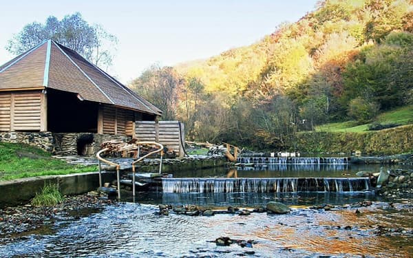 Котедж Мисливська садиба