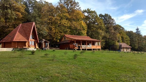 Котедж Будинок Карпатського Мольфара