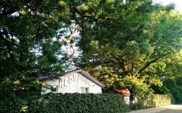 Пансіонат Нерудник