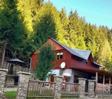 Приватна садиба Лісова хатина