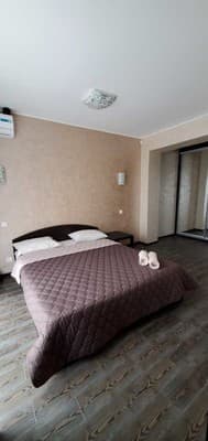 Міні-готель У Алисы