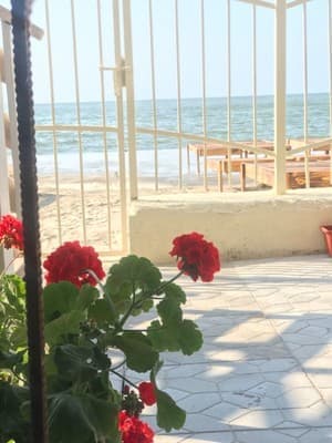 Апарт-готель Янка