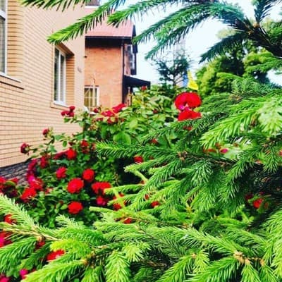 Міні-готель Садиба