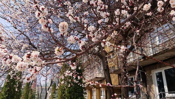 База відпочинку GoldenSand