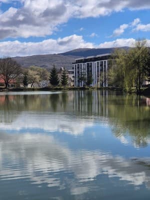 Квартира Meadow