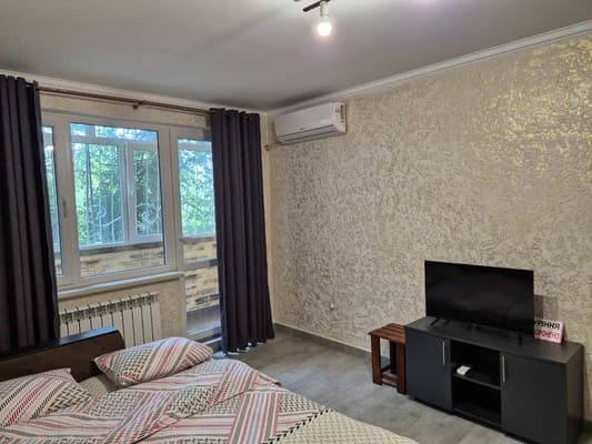 Квартира Однокімнатна у центрі,проспект Центральний 184