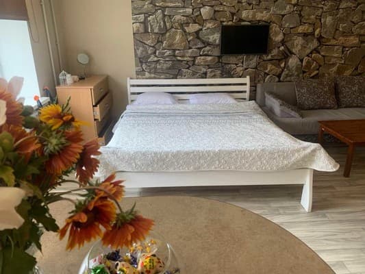 Квартира однокімнатна на вул. Михайла Грушевського