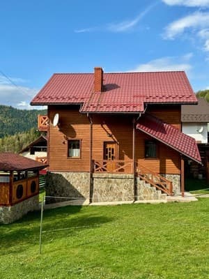 Приватна садиба Аура Карпат