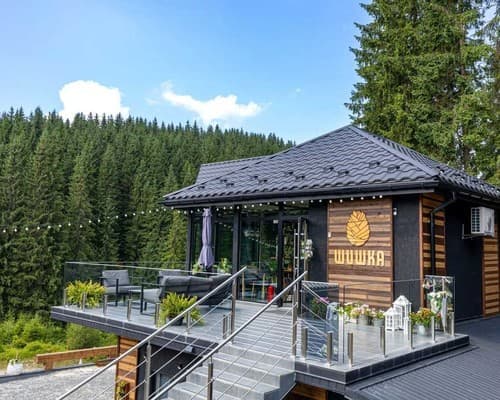 Готель Шишка