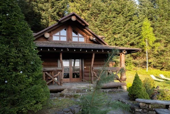 Котедж Forest House exclusive