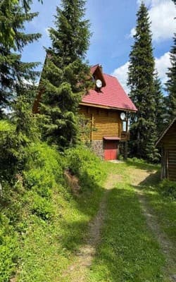 Приватна садиба Ялинка