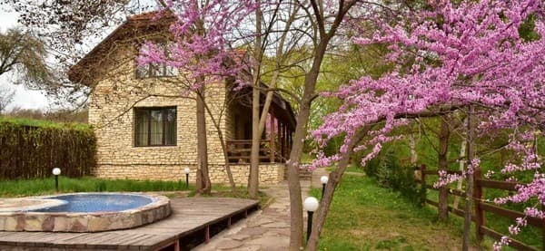 Вілла Білий Бізон. Хмелева