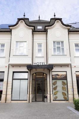 Готель Pava De Luxe