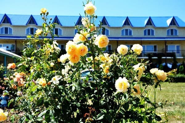 Готель Ірина