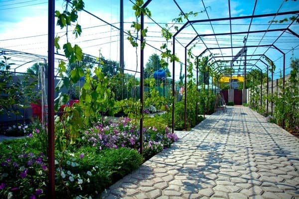 Гостинний двір Зелений острів